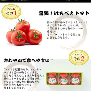 e-tomato-01