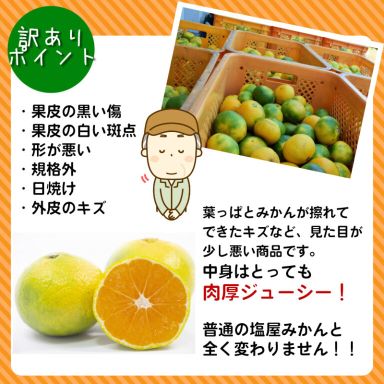 shioyamikan-04