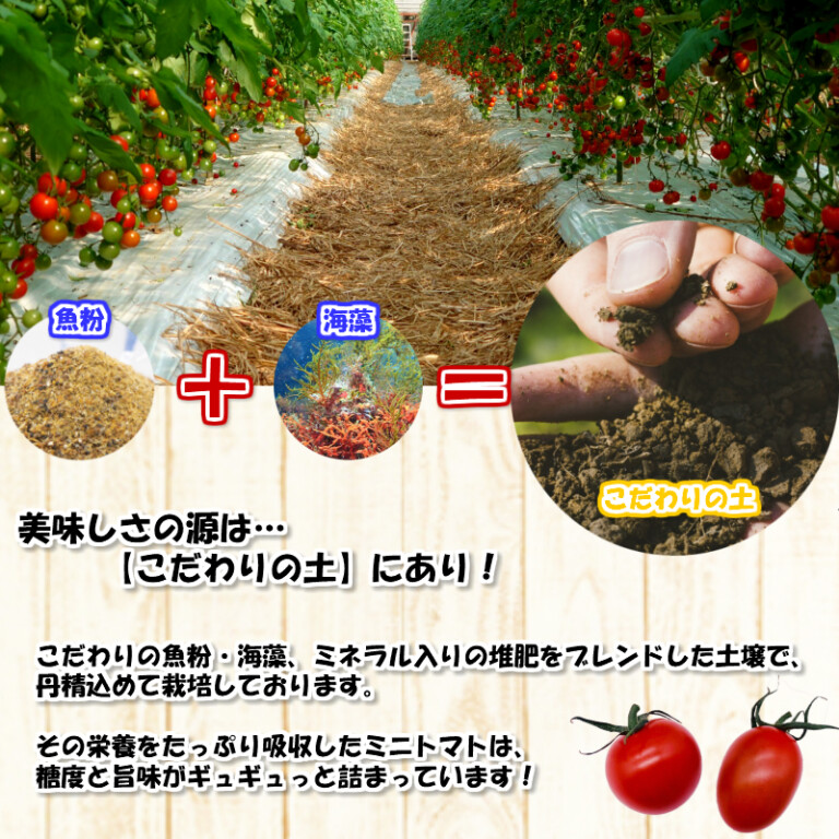 tmt-ruru3